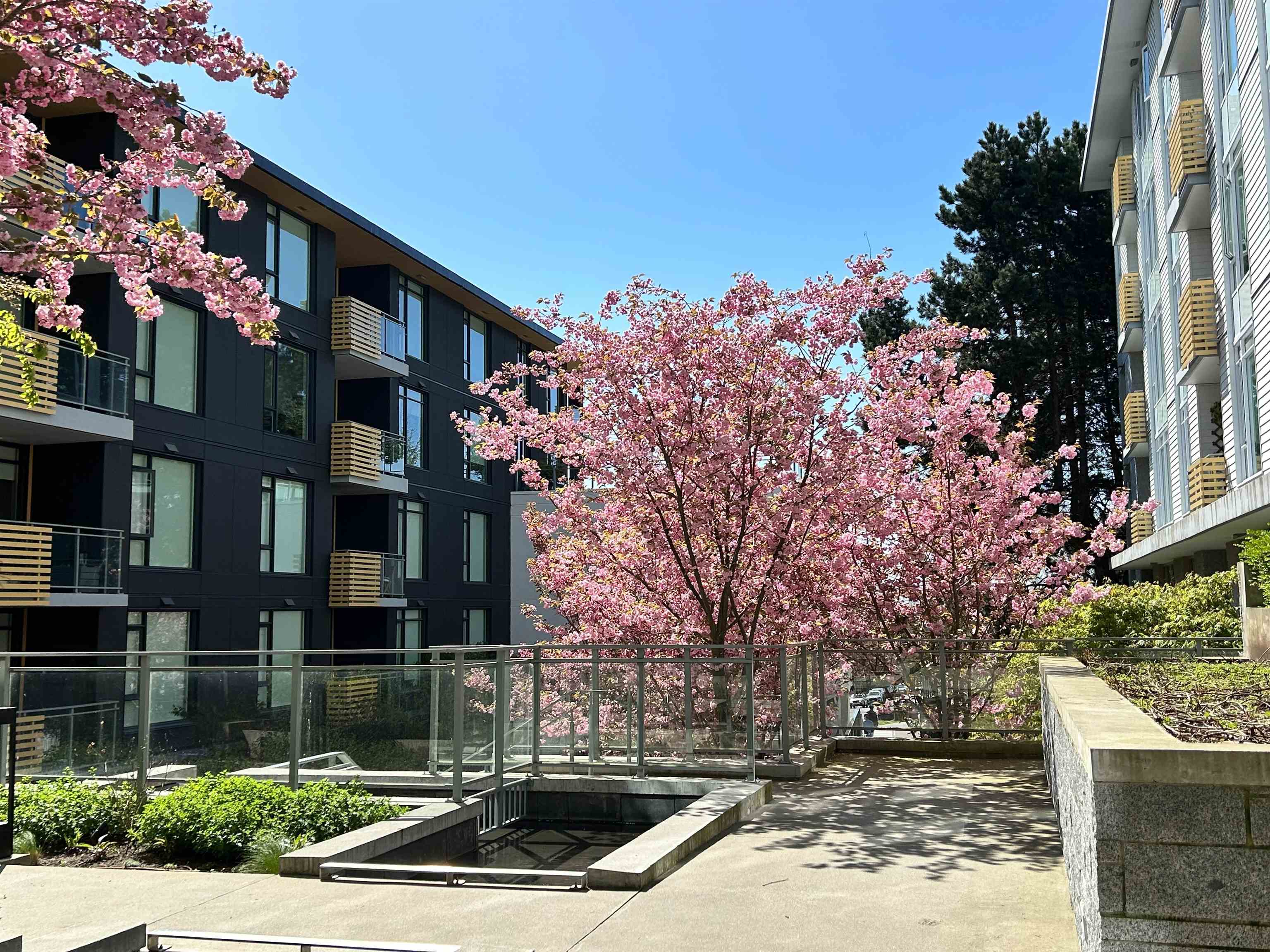 7428 Alberta Street ##609, Vancouver, BC V5X 0J5