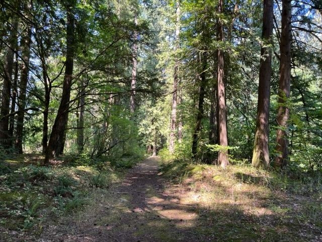 19743 Foster Road #15, Hope, BC V0X 1L2