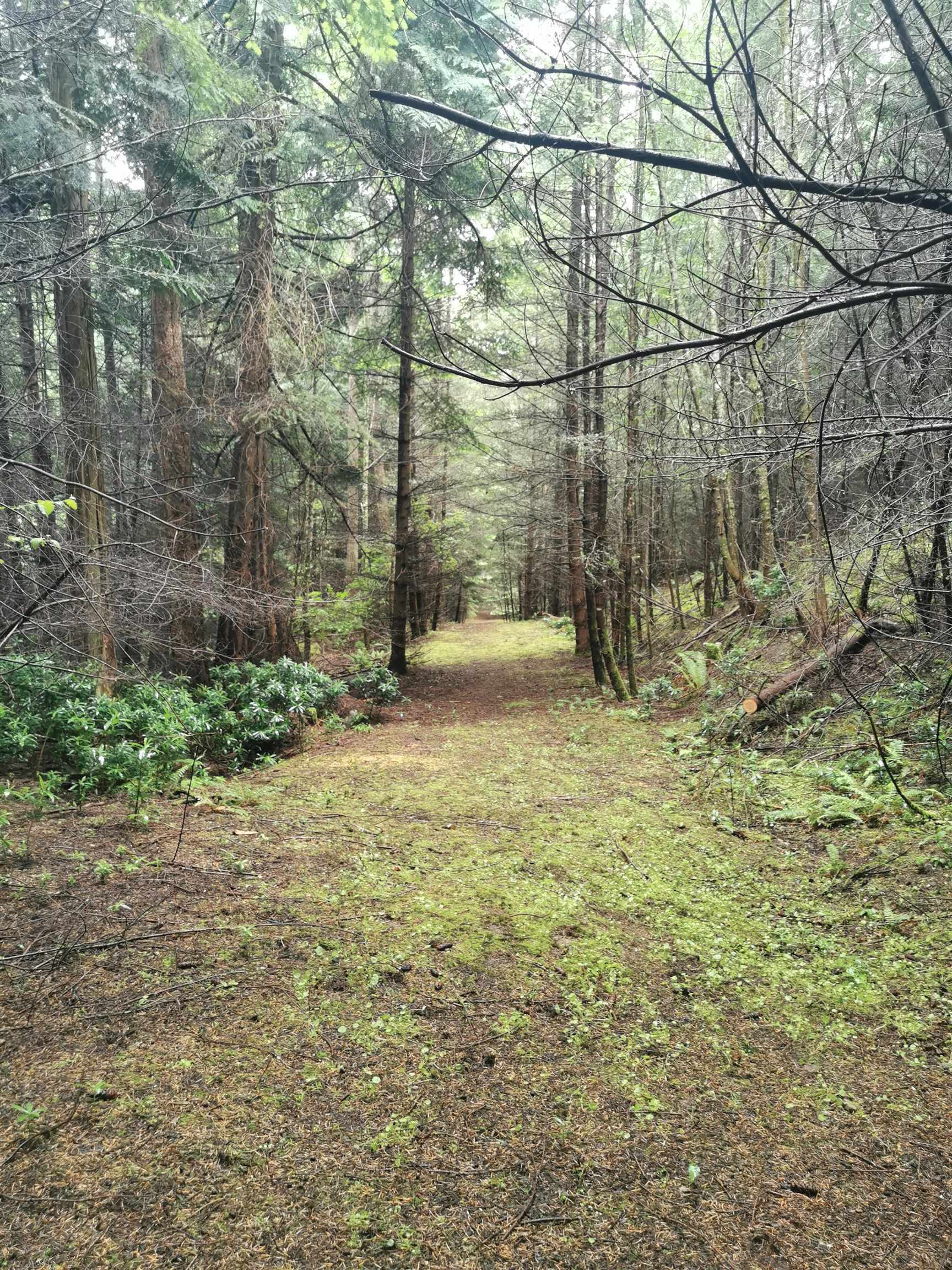 706 Fernhill Rd, Mayne Island, BC V0N 2J1