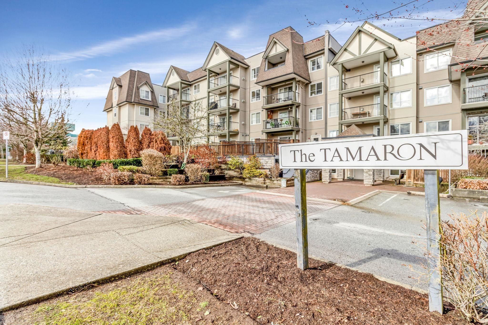 12083 92a Avenue #306, Surrey, BC V3V 8C8