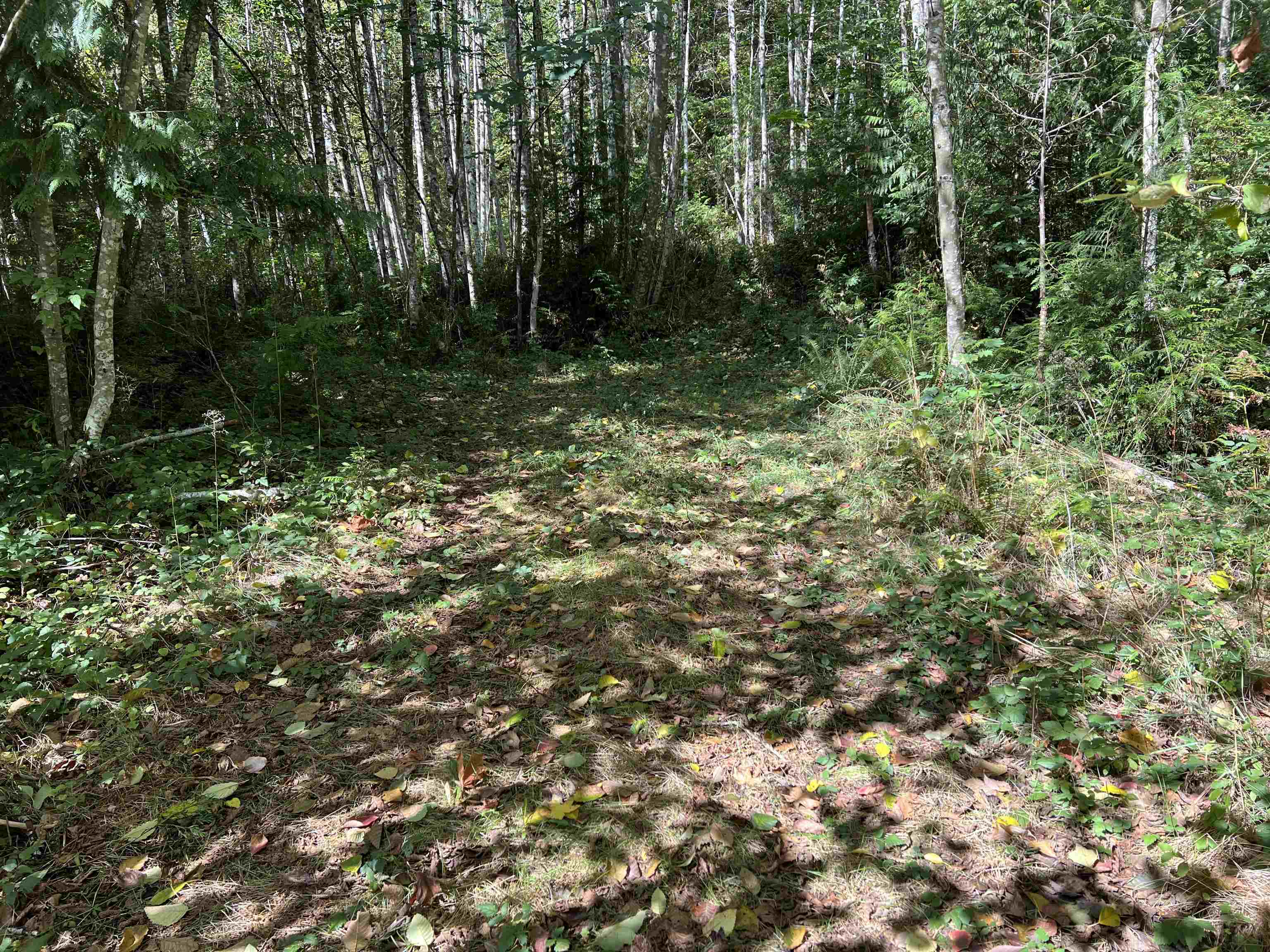 Lot B Porters Rd Road, Pender Harbour, BC V0N 2H1