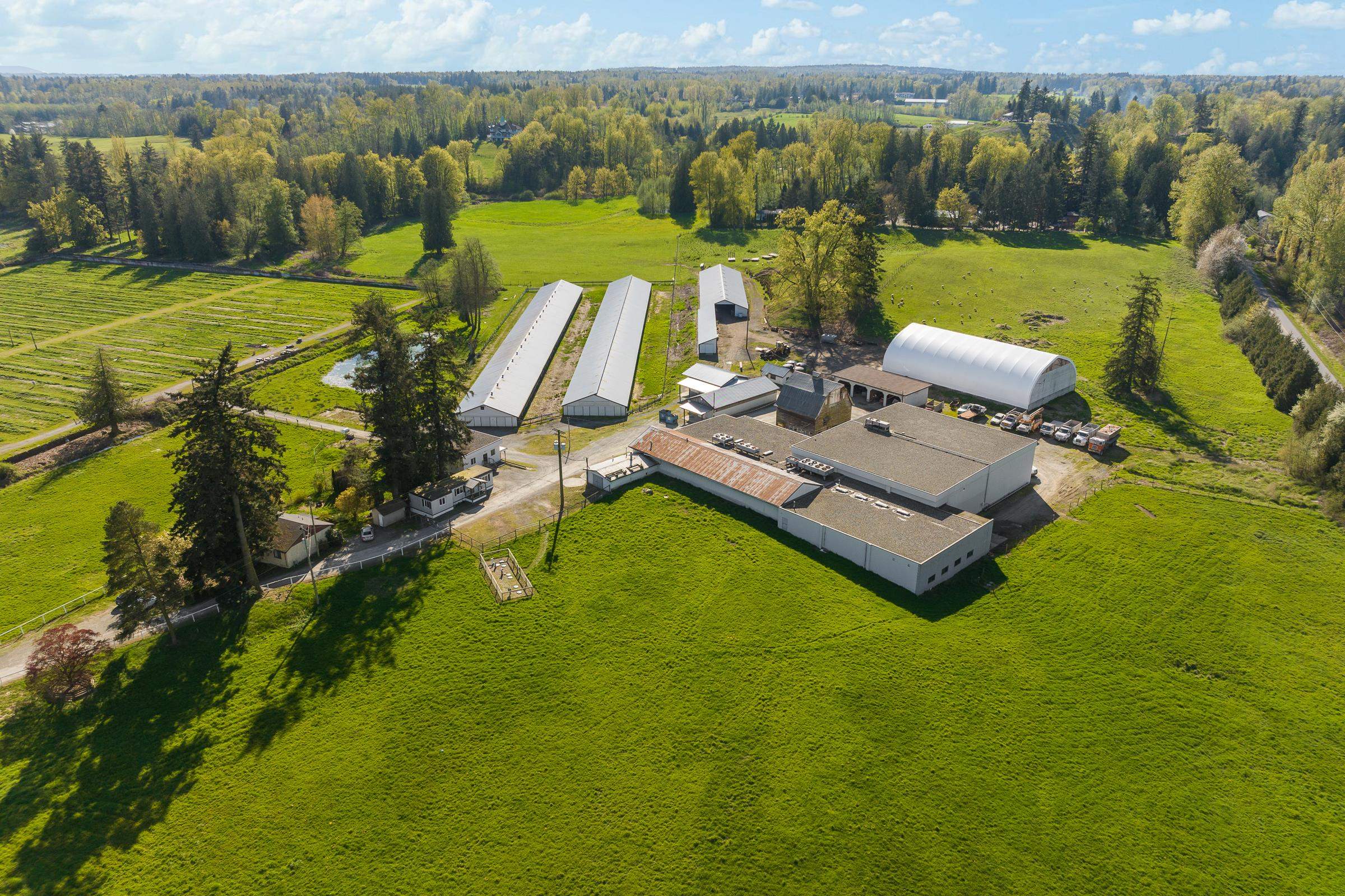 256 Street, Langley, BC V4W 2H7