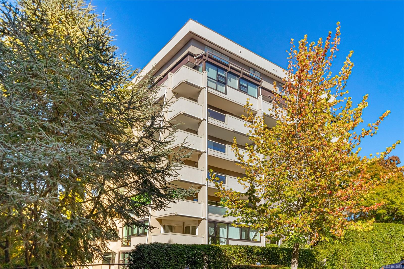 819 Burdett Ave Apt 501, Victoria, BC V8W 1B3