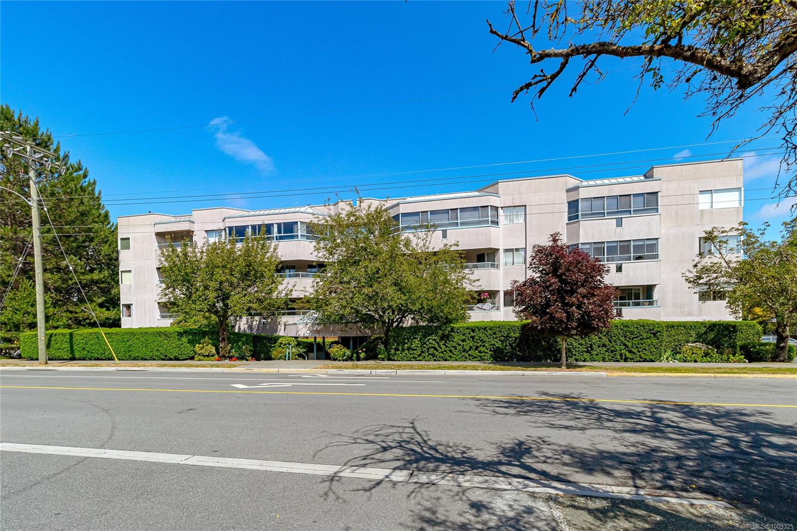 1100 Union Rd Apt 205, Saanich, BC V8P 2J3