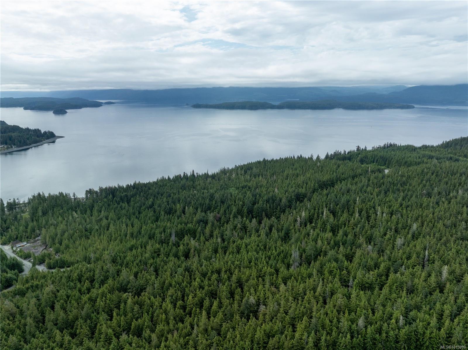 15 Mitchell Bay Access Rd, Mount Waddington A, BC V0N 3E0