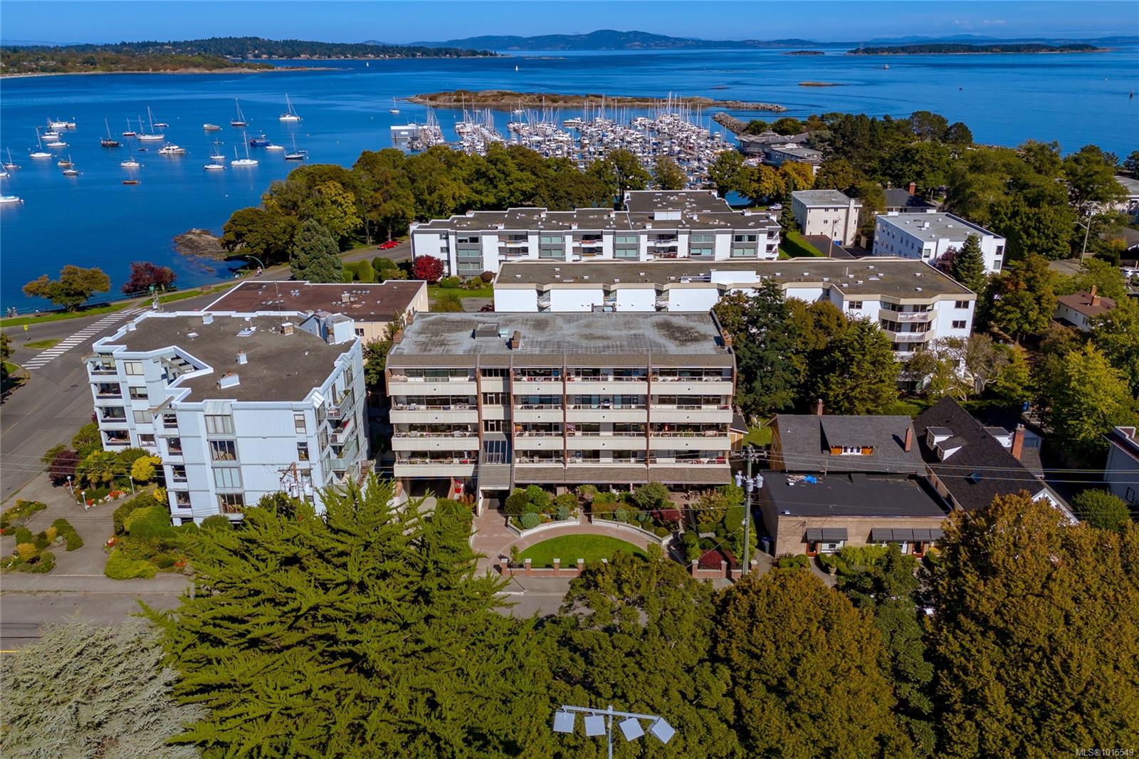 1175 Newport Ave Apt 503, Oak Bay, BC V8S 5E6