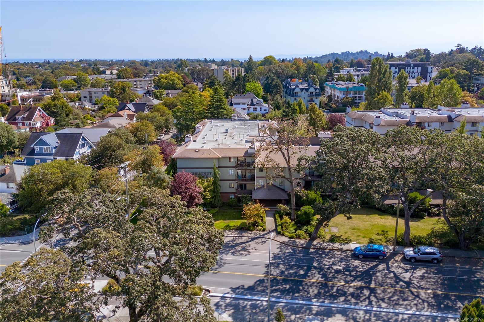 1655 Begbie St Apt 412, Victoria, BC V8R 1L4