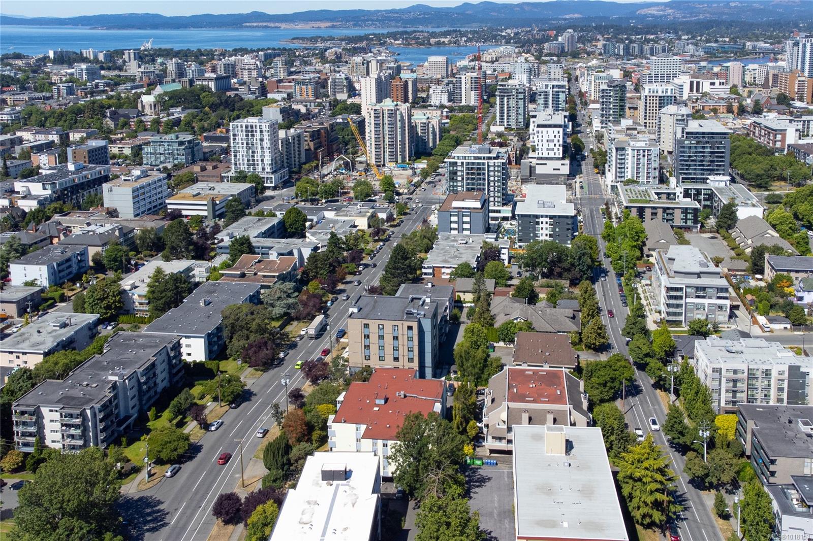 1188 Yates St Apt 401, Victoria, BC V8V 3M8