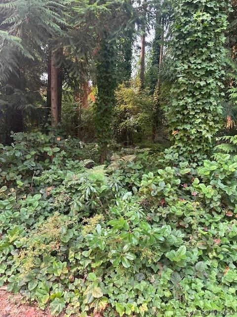156 Harlech Rd, Qualicum Beach, BC V9K 1G9