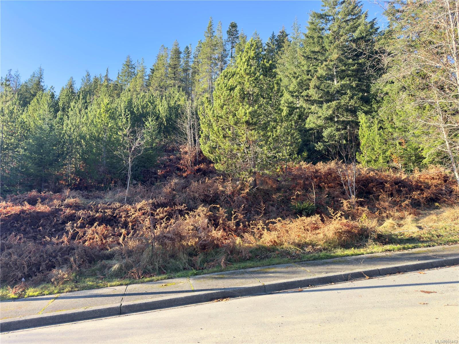 606 Scout Lake Rd, Gold River, BC V0P 1G0