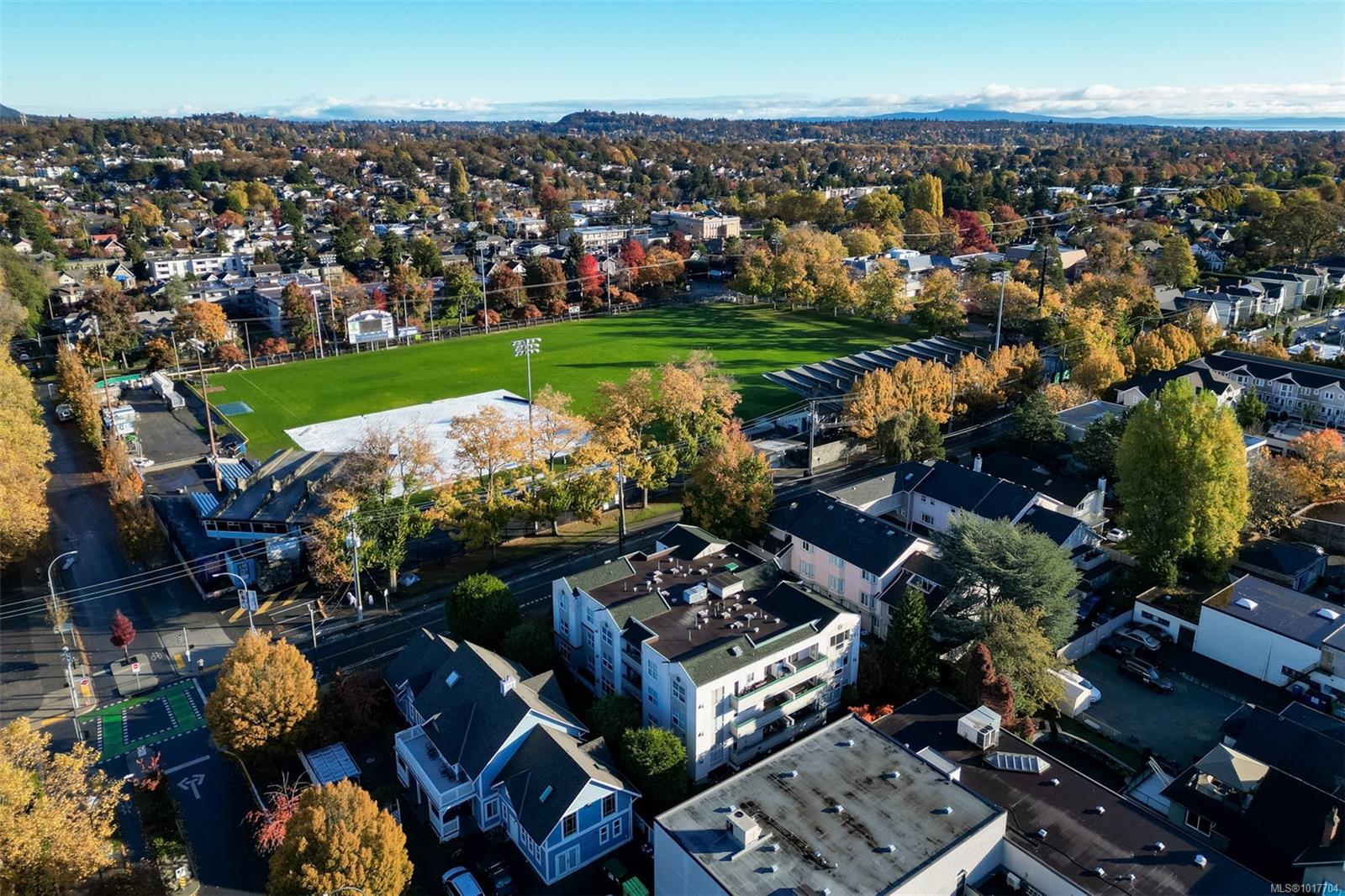 1007 Caledonia Ave Apt 302, Victoria, BC V8T 1E7