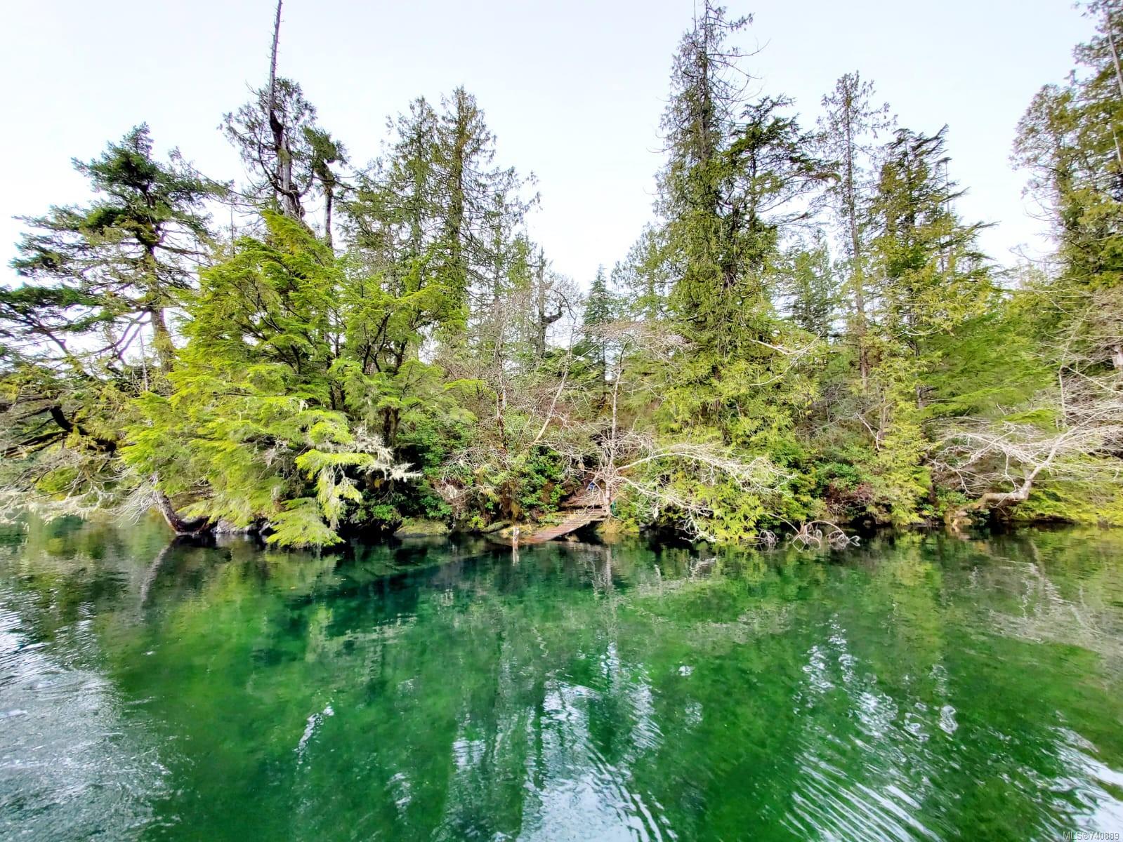 Lt 3 Cypress Bay, Tofino, BC V0R 3A0