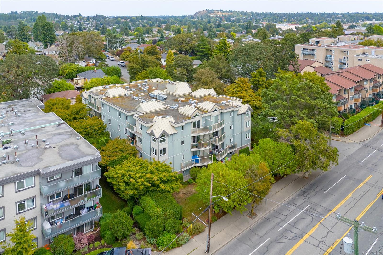 2710 Grosvenor Rd Apt 403, Victoria, BC V8T 3M6