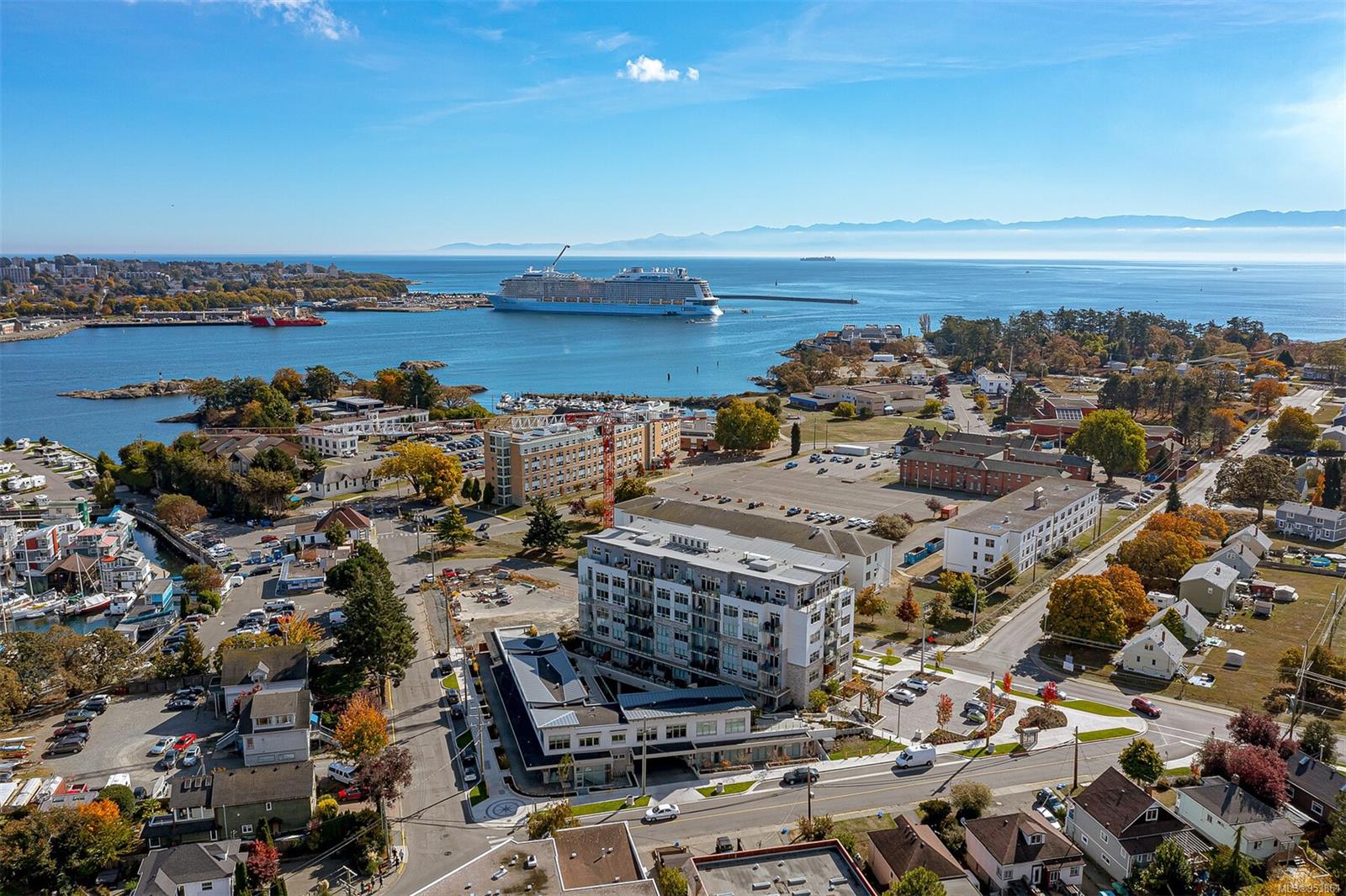 916 Lyall St Apt 409 St #APT 409, Esquimalt, BC V9A 5E6