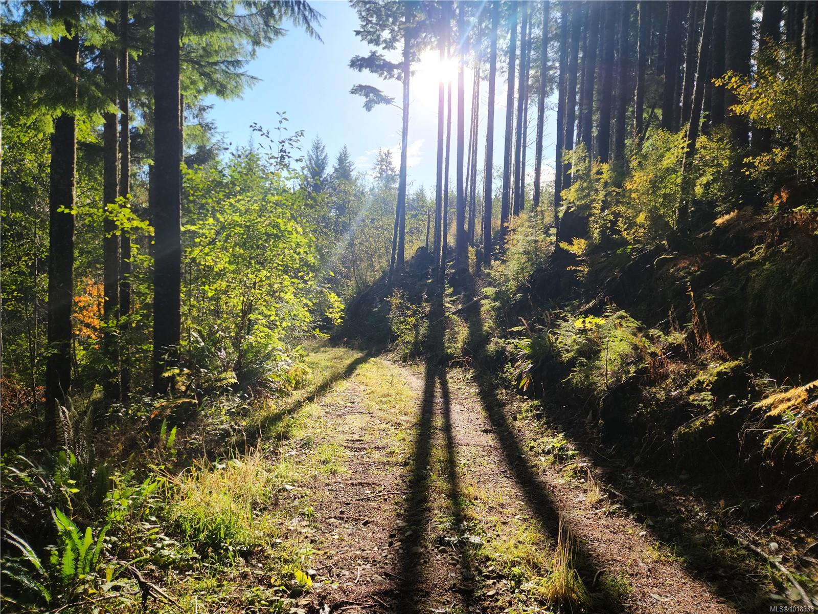 50 Murrelet Close, Sooke, BC V9Z 1K2