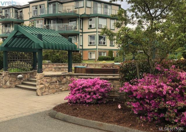 894 Vernon Ave Apt 102, Saanich, BC V8X 2W6