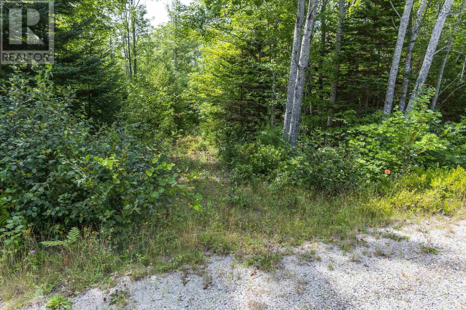 331 Mill Village Rd E #1, Mill Village, NS B0J 2H0