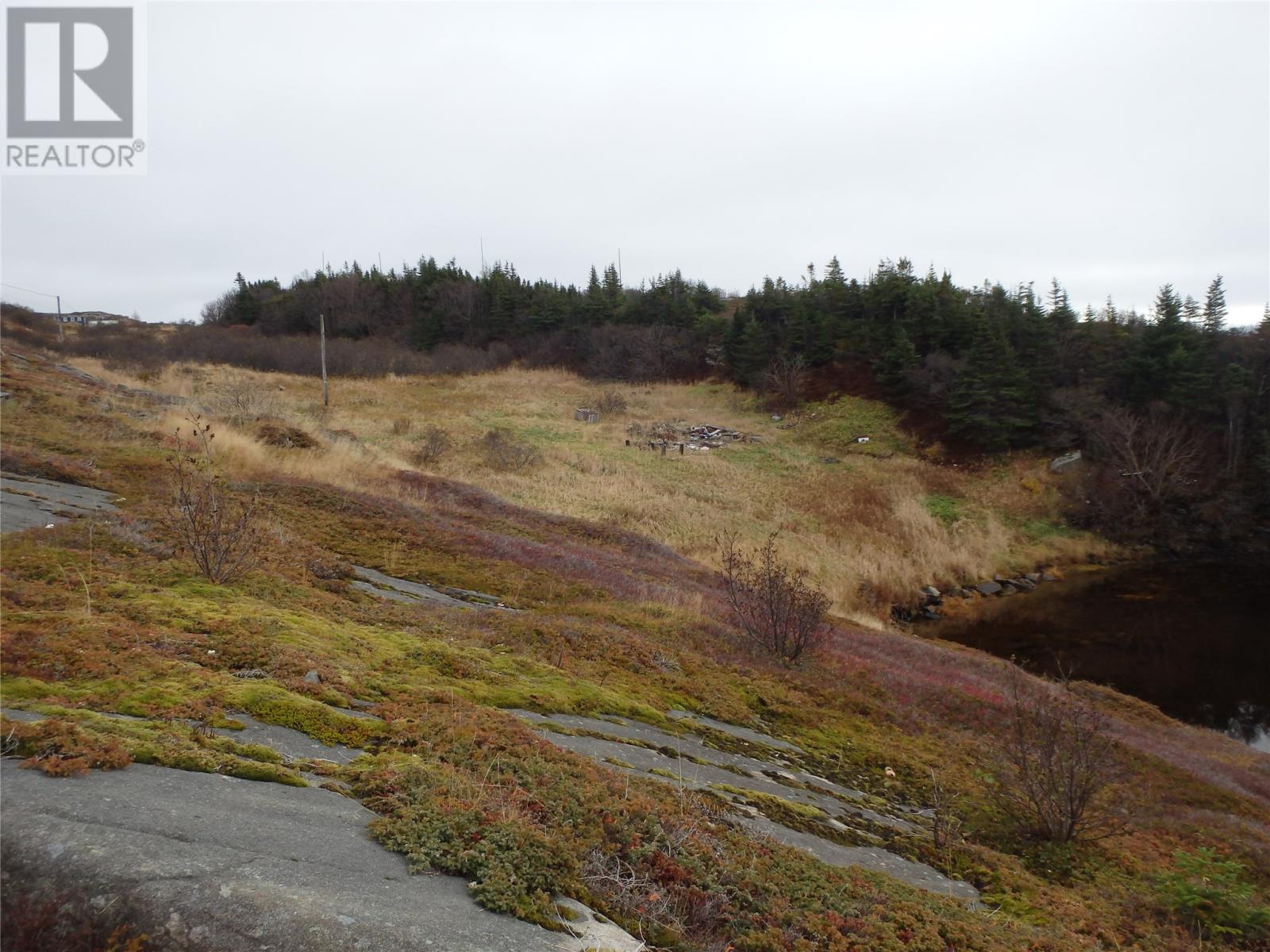 0 Millers Rd, Champney's Arm, NL A0C 2H0