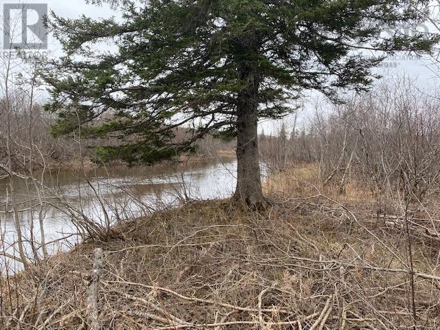 Barren Road, River Denys, NS B0E 2Y0