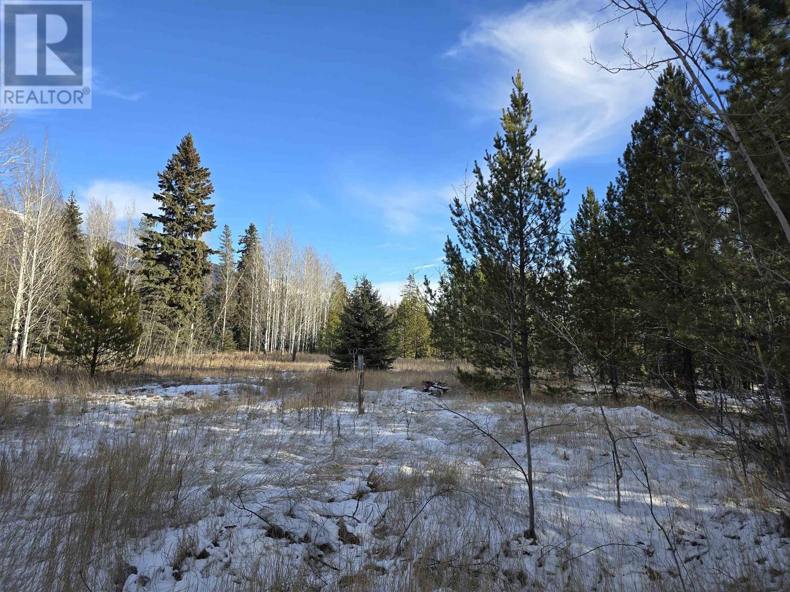 13th Avenue, Valemount, BC V0E 2Z0