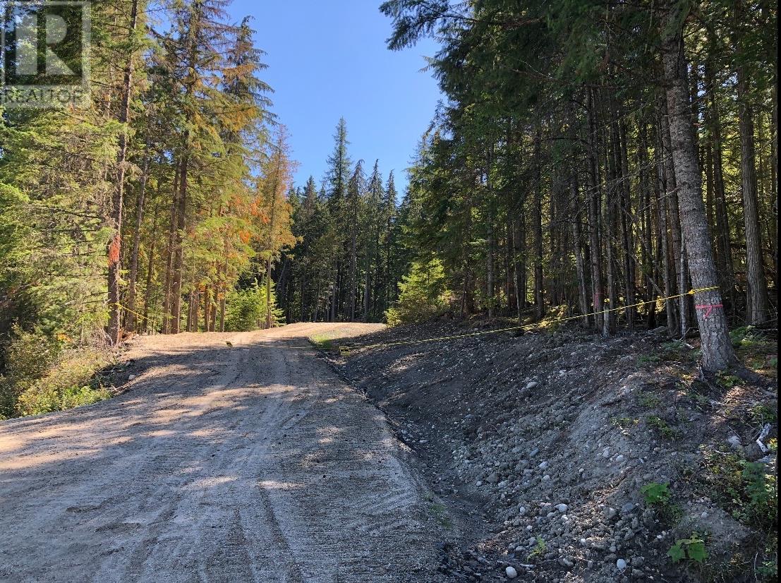 Brouse Loop Road, Nakusp, BC V0G 1R1