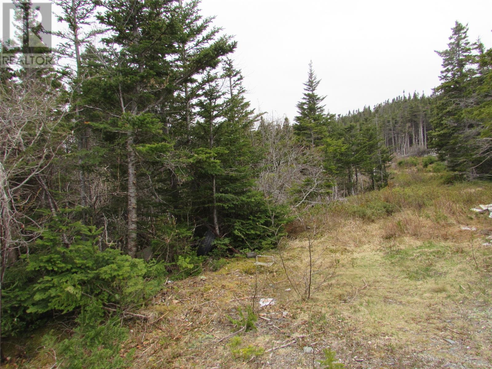 6 Country Ln, Conception Harbour, NL A0A 1Z0