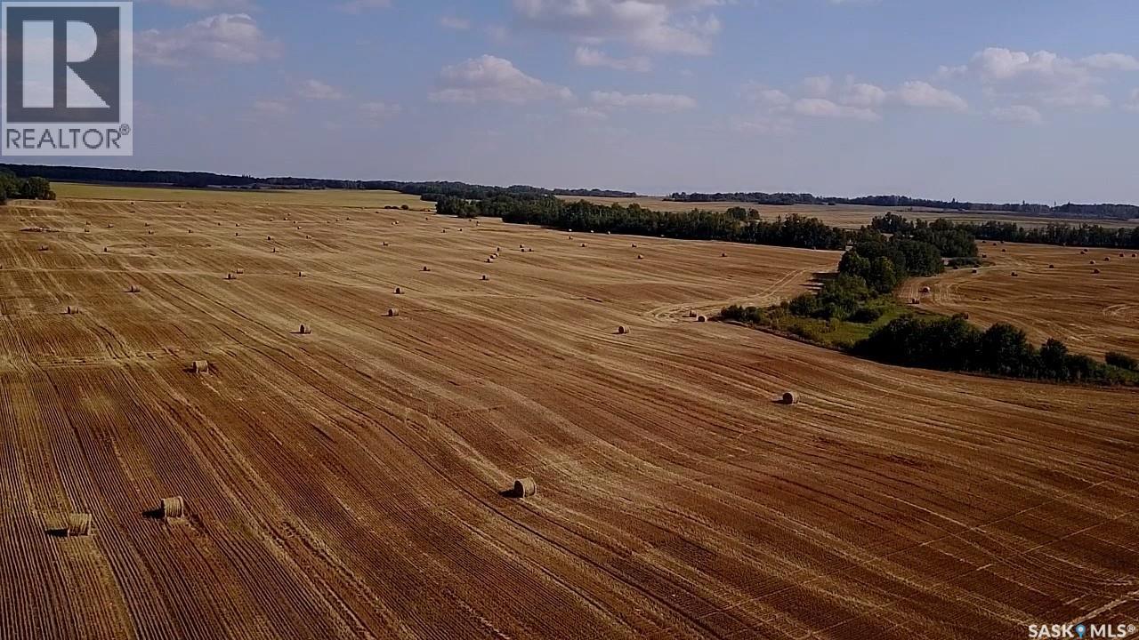 Mills Farm Land, Preeceville Rm No. 334, SK S0A 0A2
