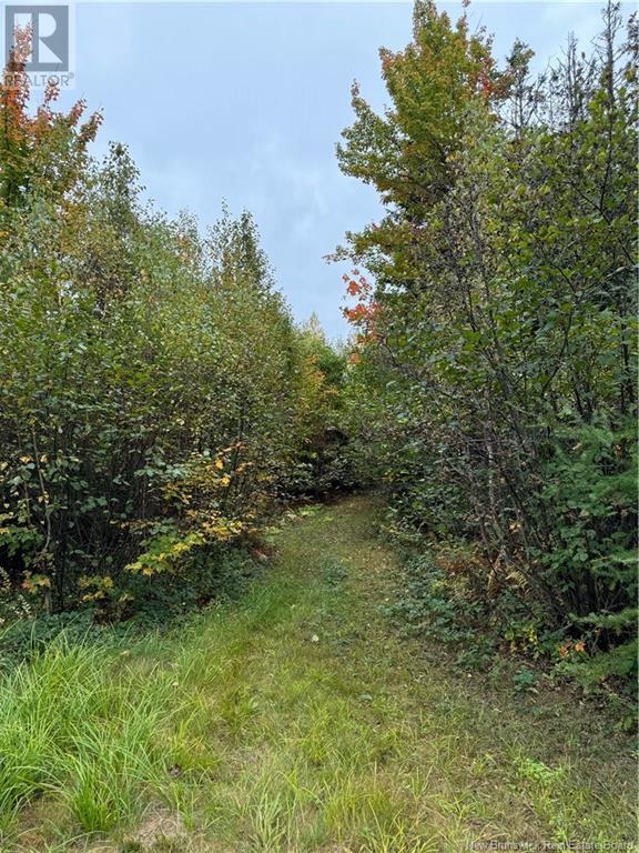 1 Wegesegum Road, Long Creek, NB E4A 2R7