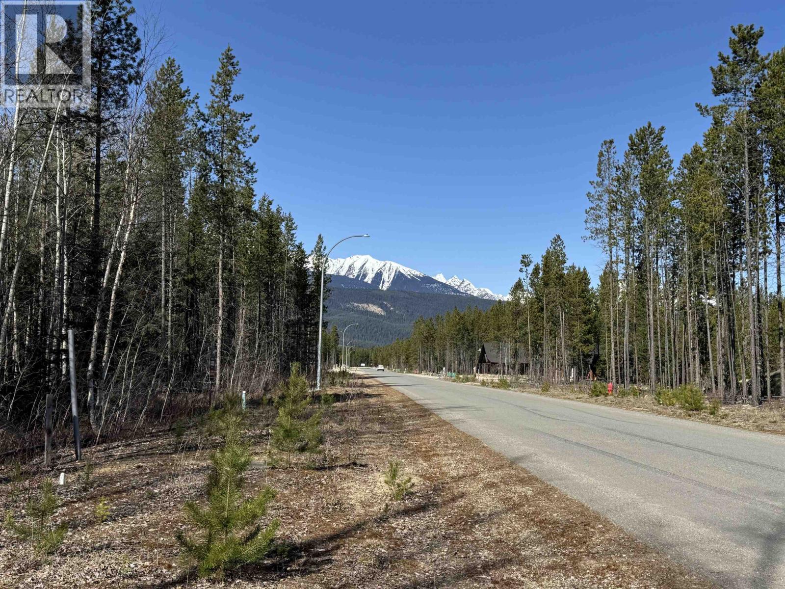 1035 18 Avenue, Valemount, BC V0E 2Z0