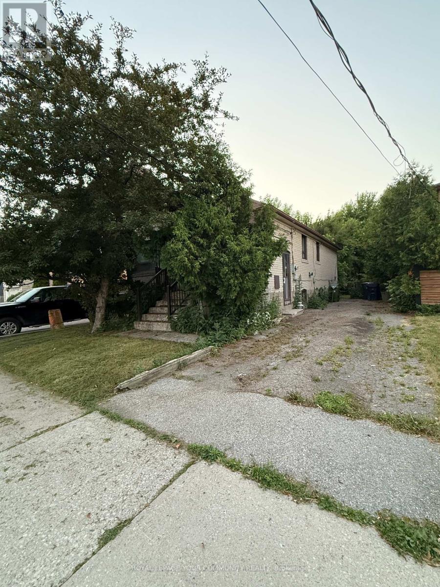 38 Sultana Ave, Toronto, ON M6A 1T1