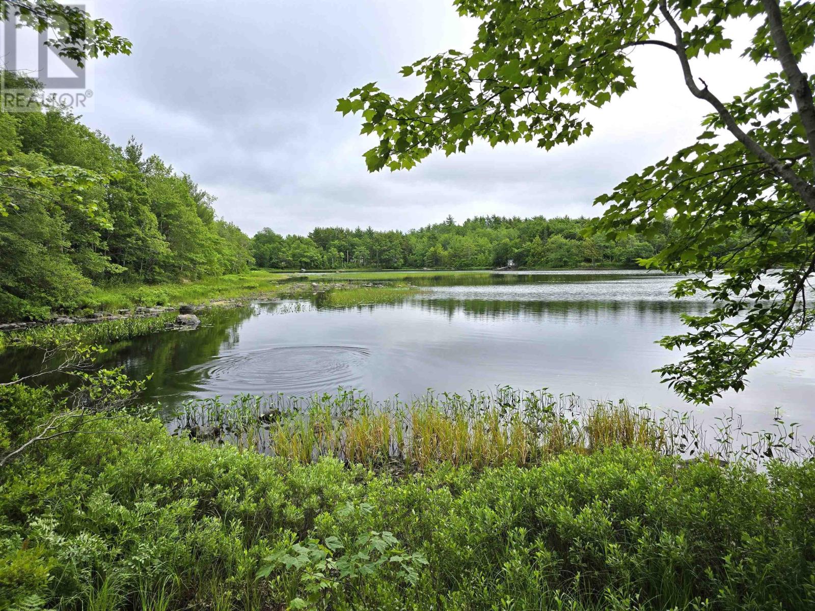 1 Selig Rd, East Clifford, NS B4V 7R9