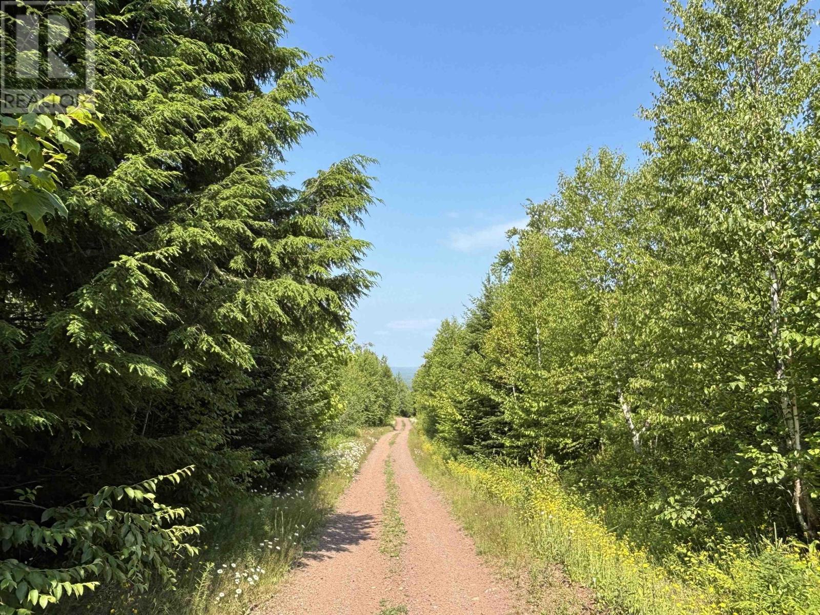80 Acres Scotsburn Rd, West Branch, NS B0K 1R0