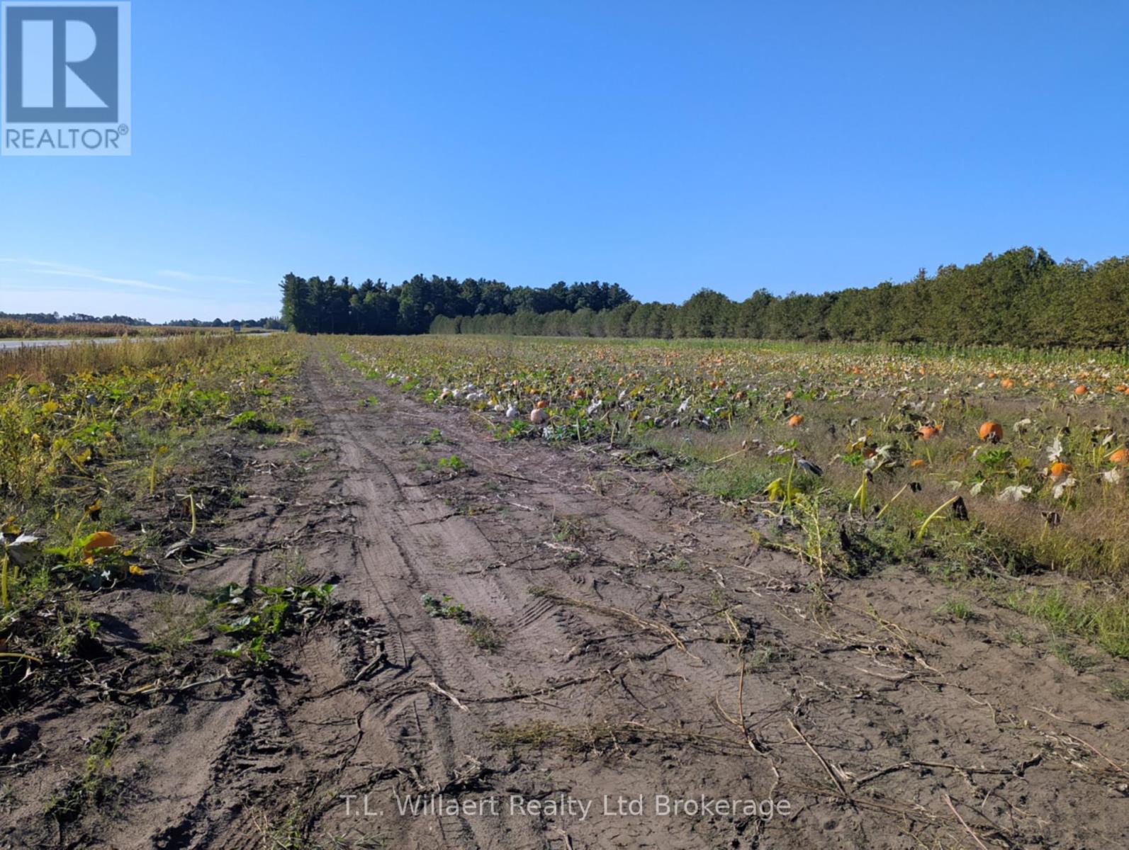7343 Plank Rd, Bayham, ON N0J 1Z0