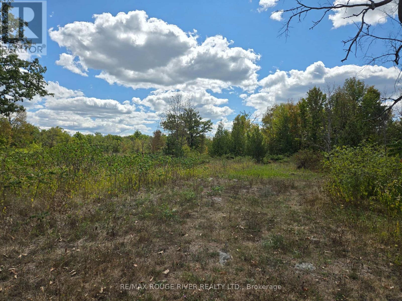 103080 Highway 7 Hwy E, Marmora and Lake, ON K0K 2M0