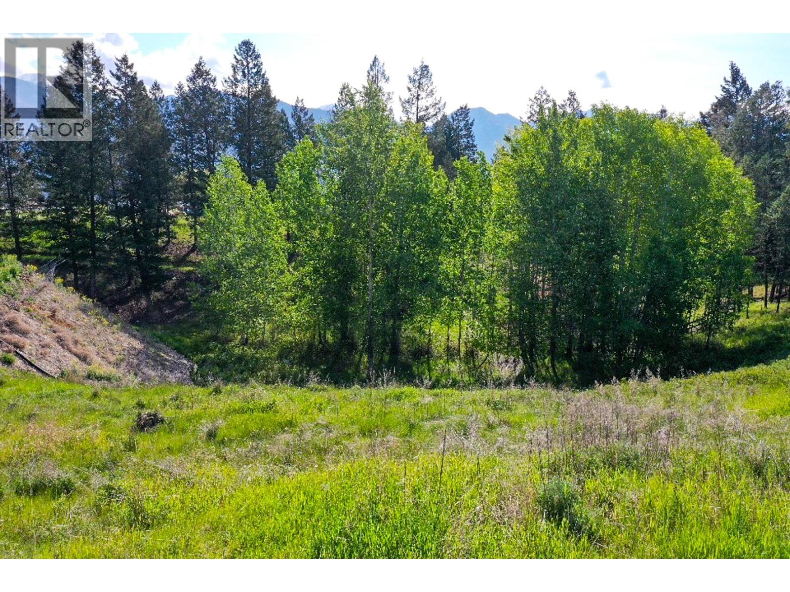 2161 Pinetree Pl, Invermere, BC V0A 1K4