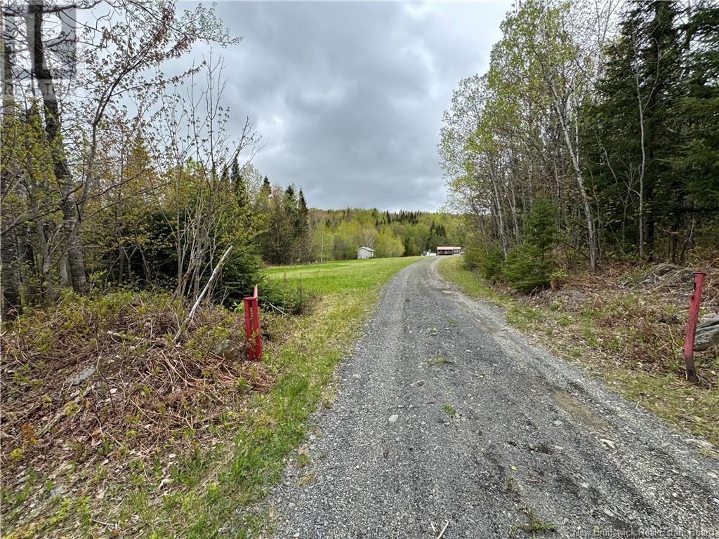 292 Chemin Ruisseau Thibodeau, Saint-basile, NB E7C 2L8
