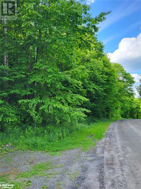 0 Haines Lake Rd, Mcdougall, ON P2A 0B3