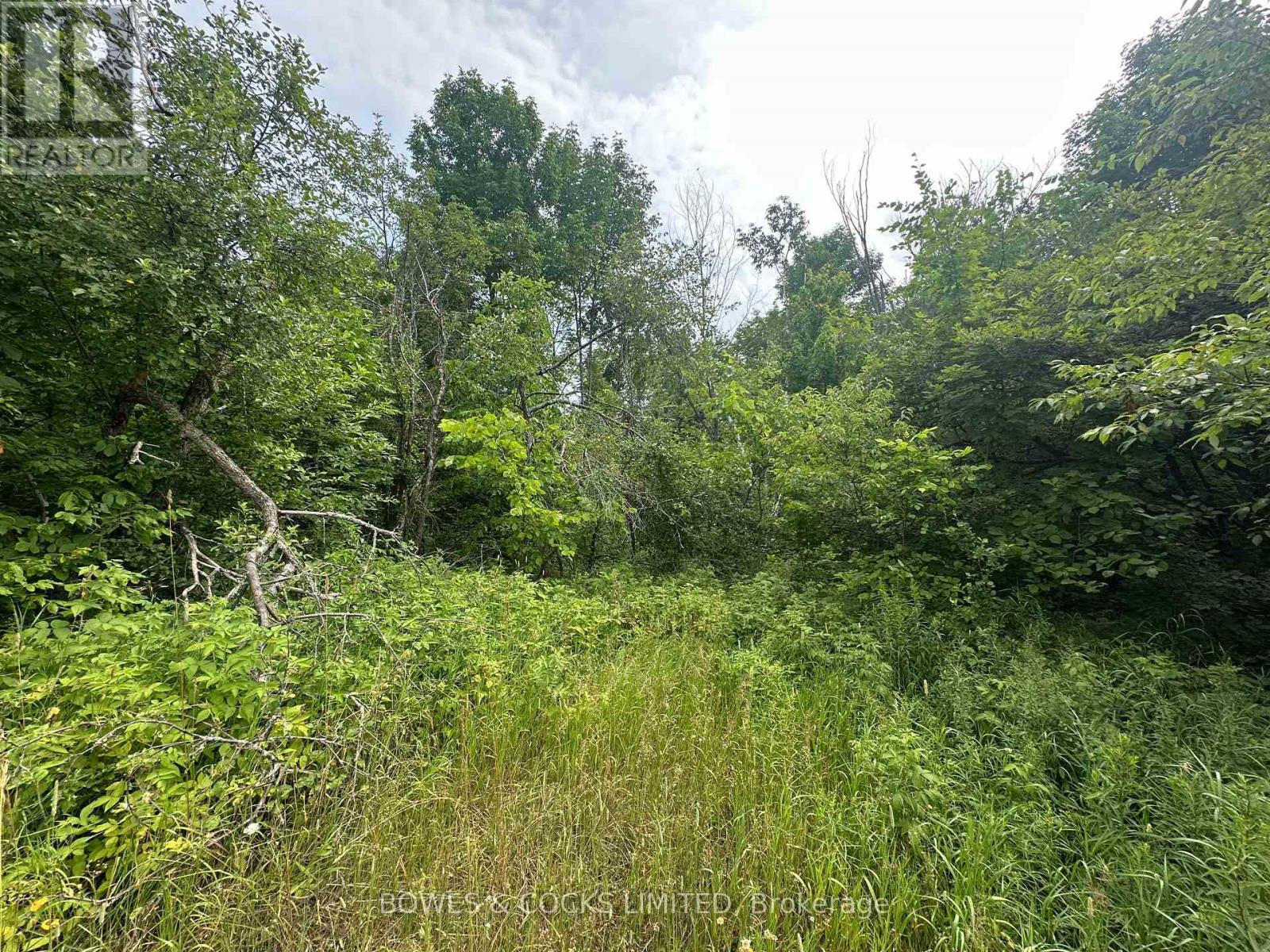 0 Centre Line Rd, Marmora And Lake Marmora Ward, ON K0K 2M0
