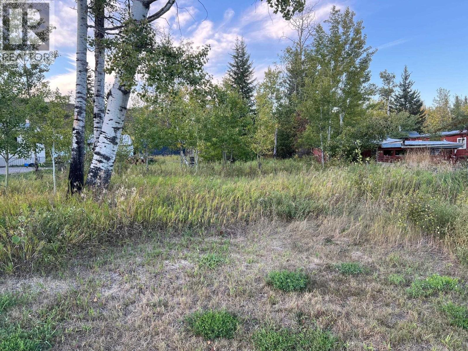 10109 Paquette Ave, Hudson's Hope, BC V0C 1V0
