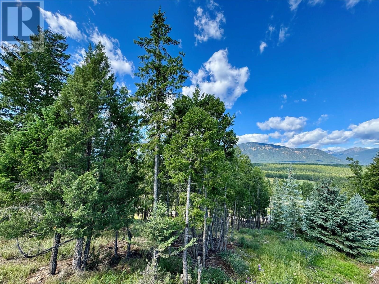 2522 Ledgerock Rdg, Invermere, BC V0A 1K0