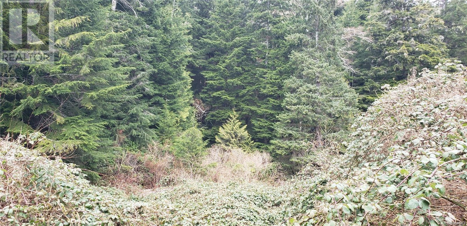 Haggard Street, Port Alberni, BC V0R 2B0