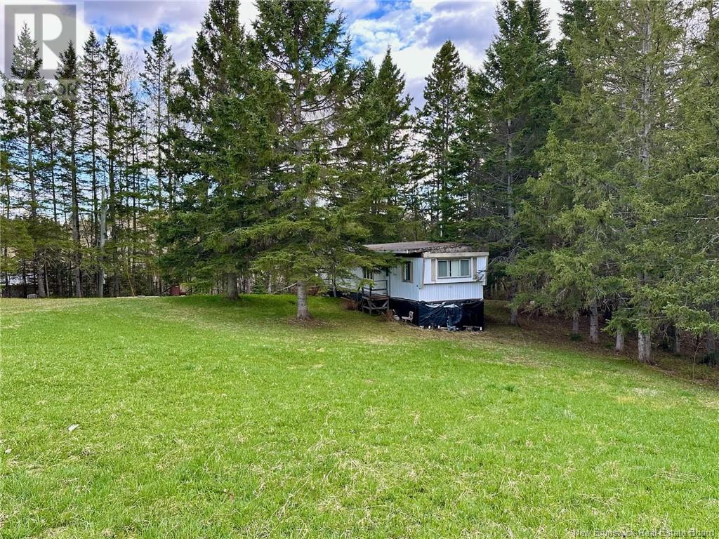 124 Francoeur Hill Rd, New Denmark, NB E7G 1R3