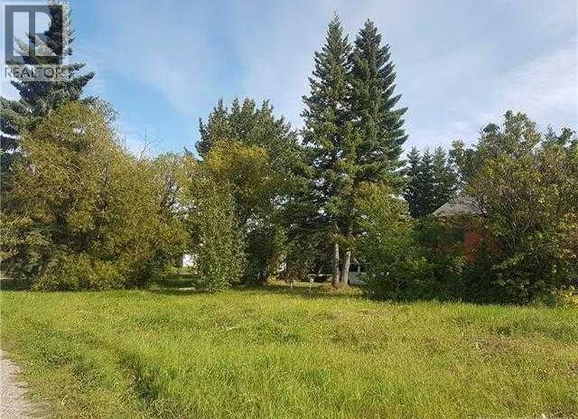 50 St Unit 4907, Caroline, AB T0M 0M0
