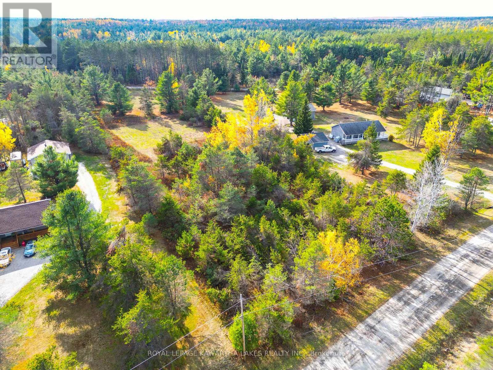 36 Hodgson Dr, Kawartha Lakes, ON K0M 1C0
