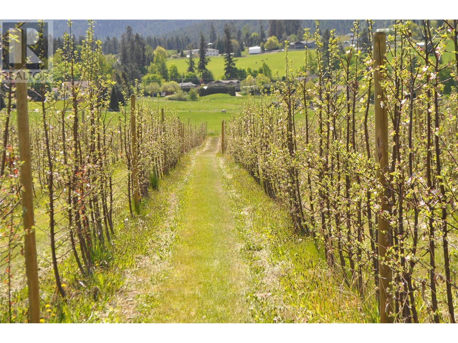 Springfield Road, Coldstream, BC V1T 9L6
