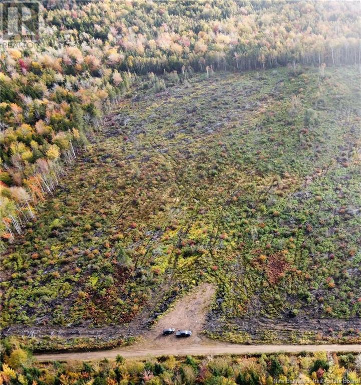 Lot Melanson Road, Notre-dame, NB E4V 1Z6