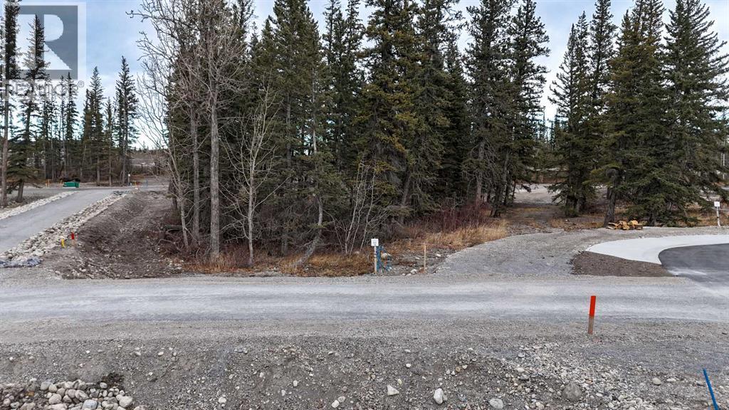 107 Bud's Way, Rural Bighorn No. 8 M.d. Of, AB T0L 2C1
