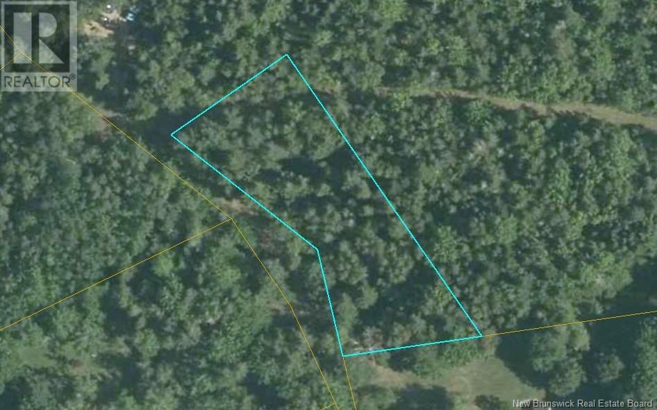 Land Chemin Bas De L'allee, Richibouctou-village, NB E4W 1A5