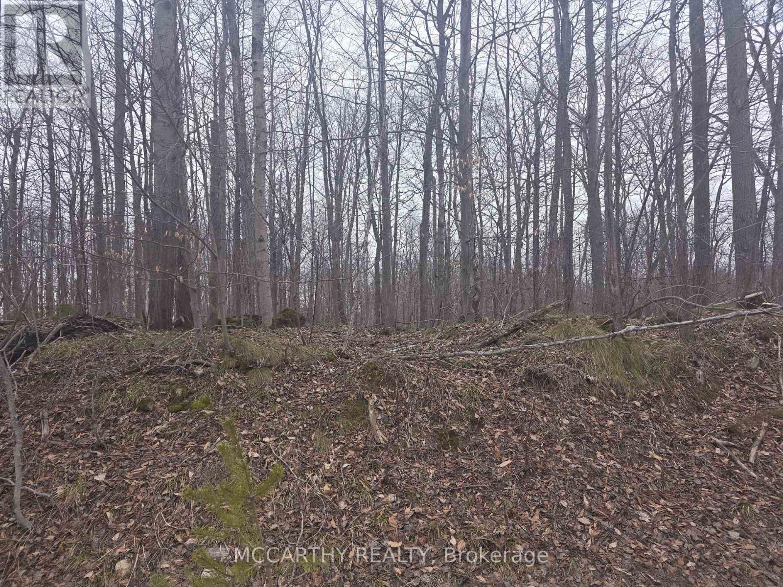 Lot 9 Pt Lt 25, West Grey, ON N0C 1H0