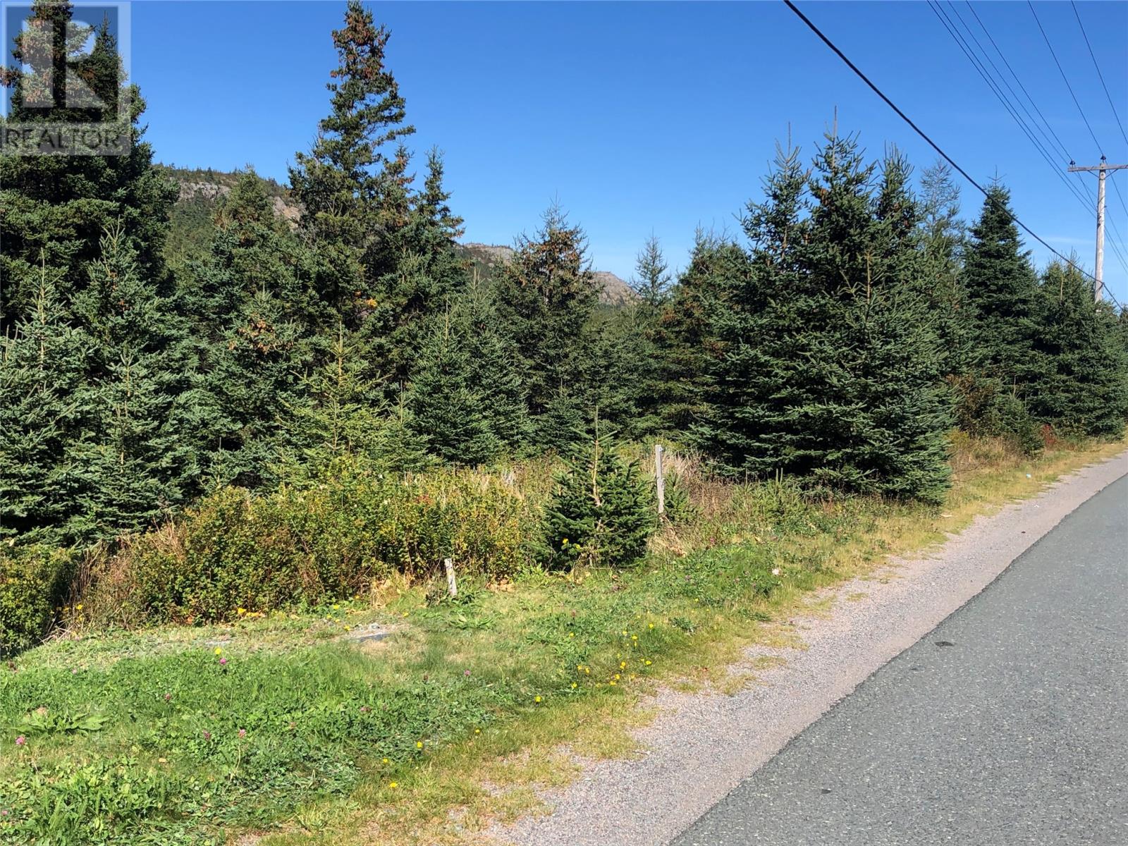 155 Seaforest Dr, Cupids, NL A0A 2B0
